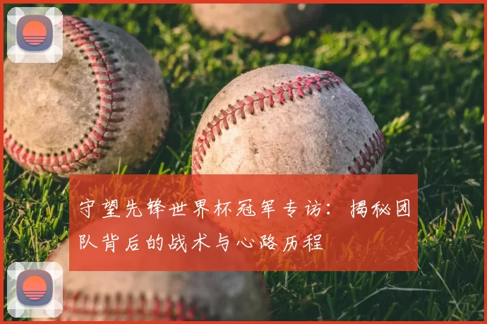 守望先锋世界杯冠军专访:揭秘团队背后的战术与心路历程