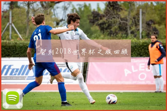 智利2018世界杯之旅回顾
