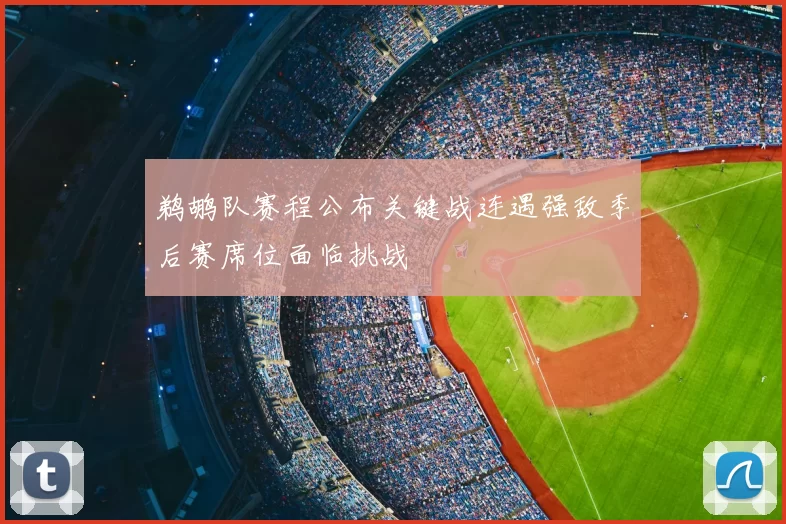 鹈鹕队赛程公布关键战连遇强敌季后赛席位面临挑战