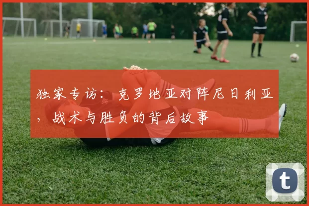 独家专访:克罗地亚对阵尼日利亚,战术与胜负的背后故事