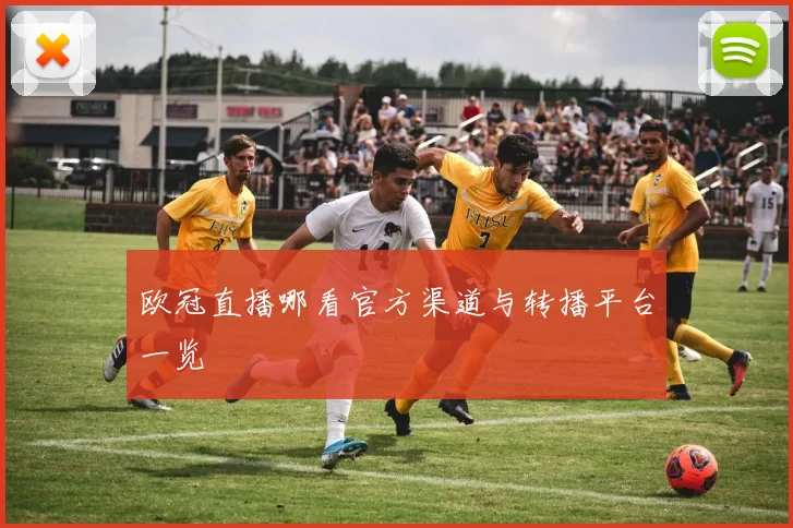 欧冠直播哪看官方渠道与转播平台一览