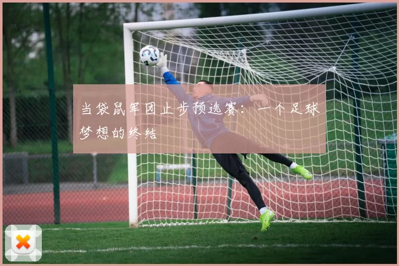 当袋鼠军团止步预选赛:一个足球梦想的终结