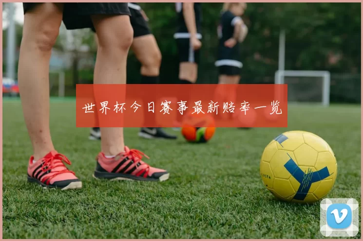 世界杯今日赛事最新赔率一览