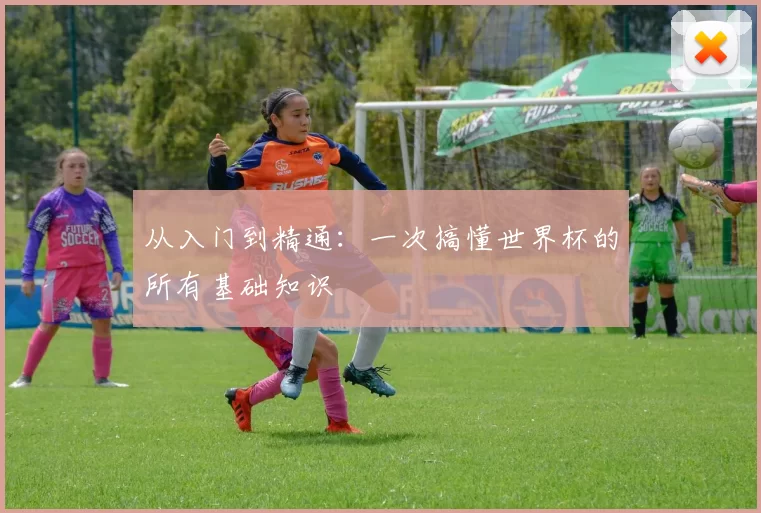 从入门到精通:一次搞懂世界杯的所有基础知识