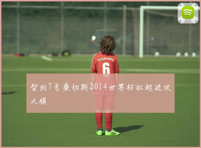智利7号桑切斯2014世界杯扛起进攻大旗