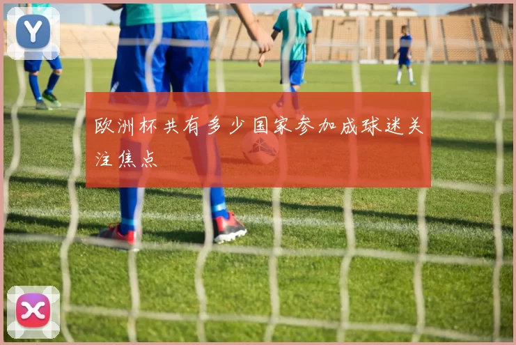 欧洲杯共有多少国家参加成球迷关注焦点
