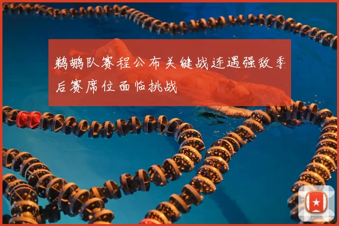 鹈鹕队赛程公布关键战连遇强敌季后赛席位面临挑战